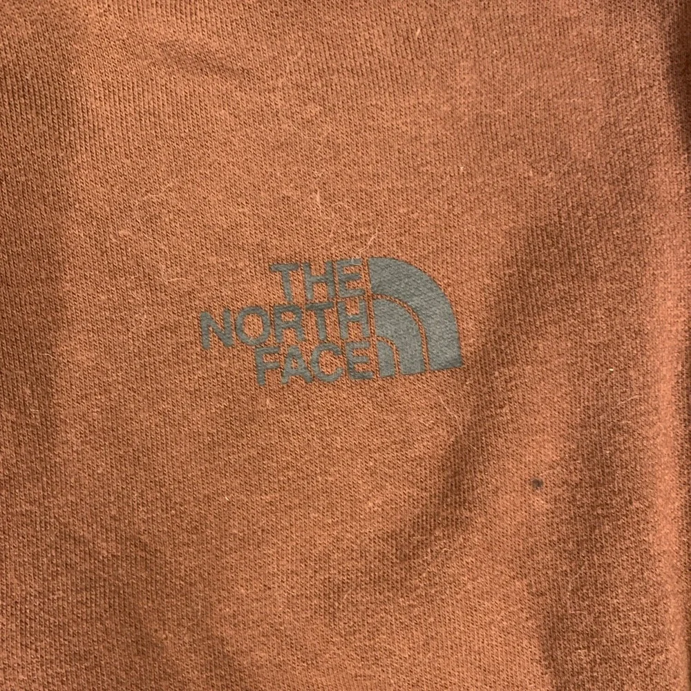 The North Face Hoodie Men's Small Bear Long Sleeve Pullover Sweater Brown‎